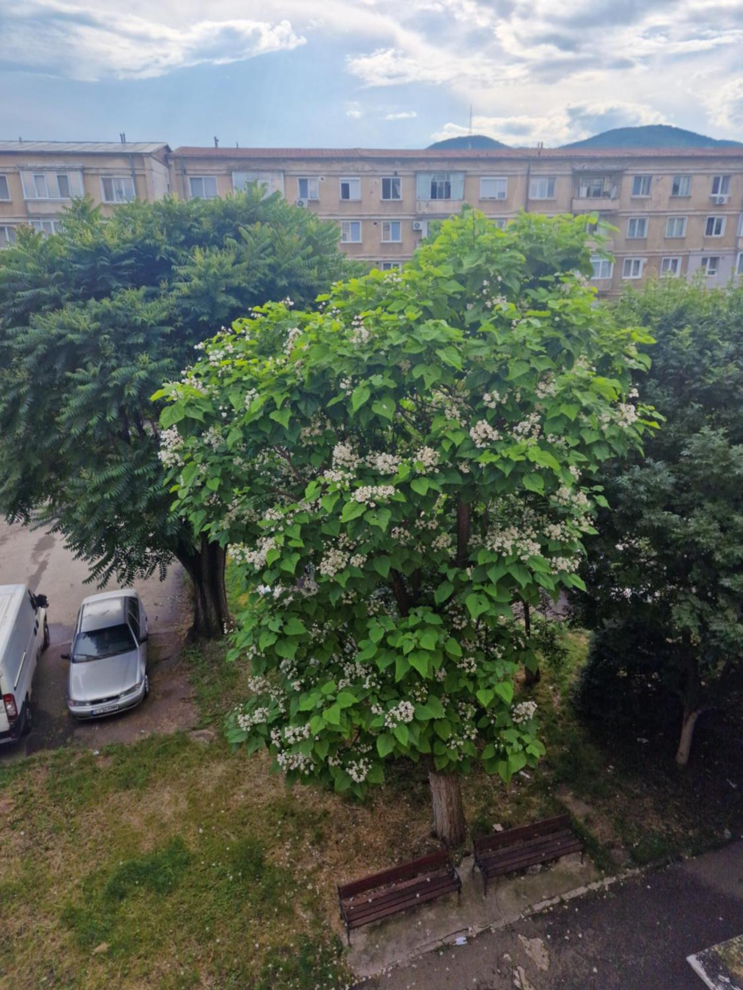 Apartament Central Deva Apartment Exterior photo